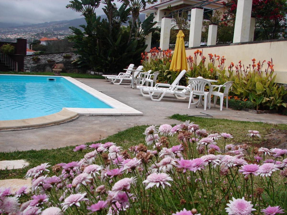 Private Pool Apt. With Great View 丰沙尔 外观 照片