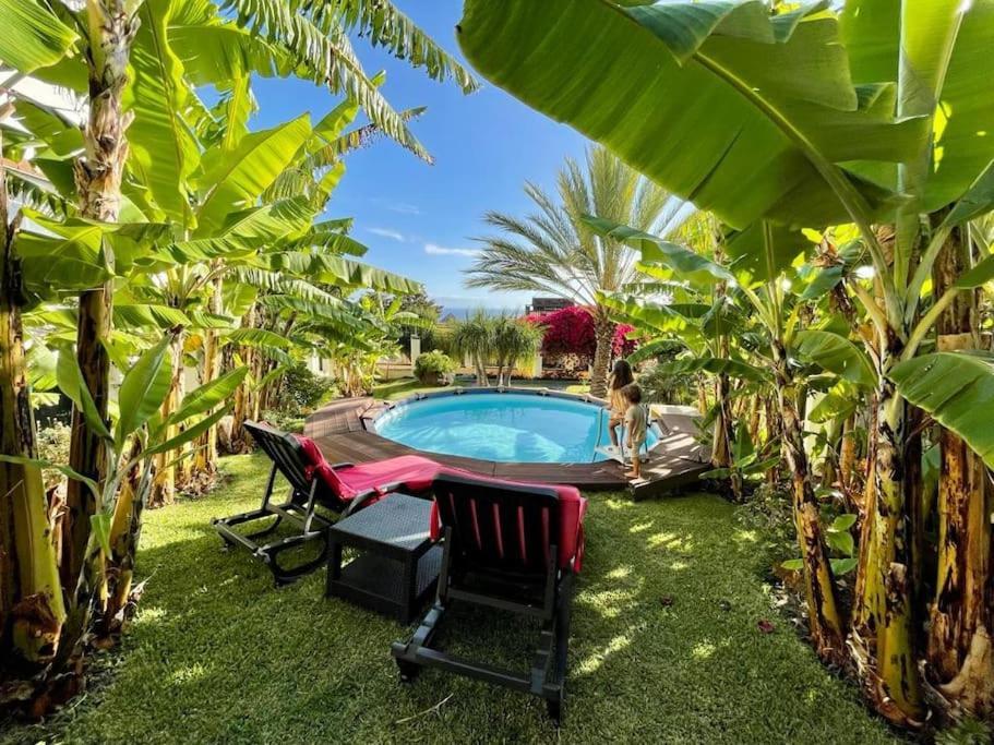 Private Pool Apt. With Great View 丰沙尔 外观 照片