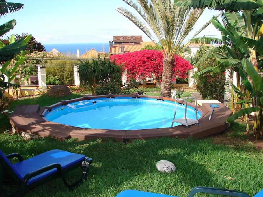 Private Pool Apt. With Great View 丰沙尔 外观 照片